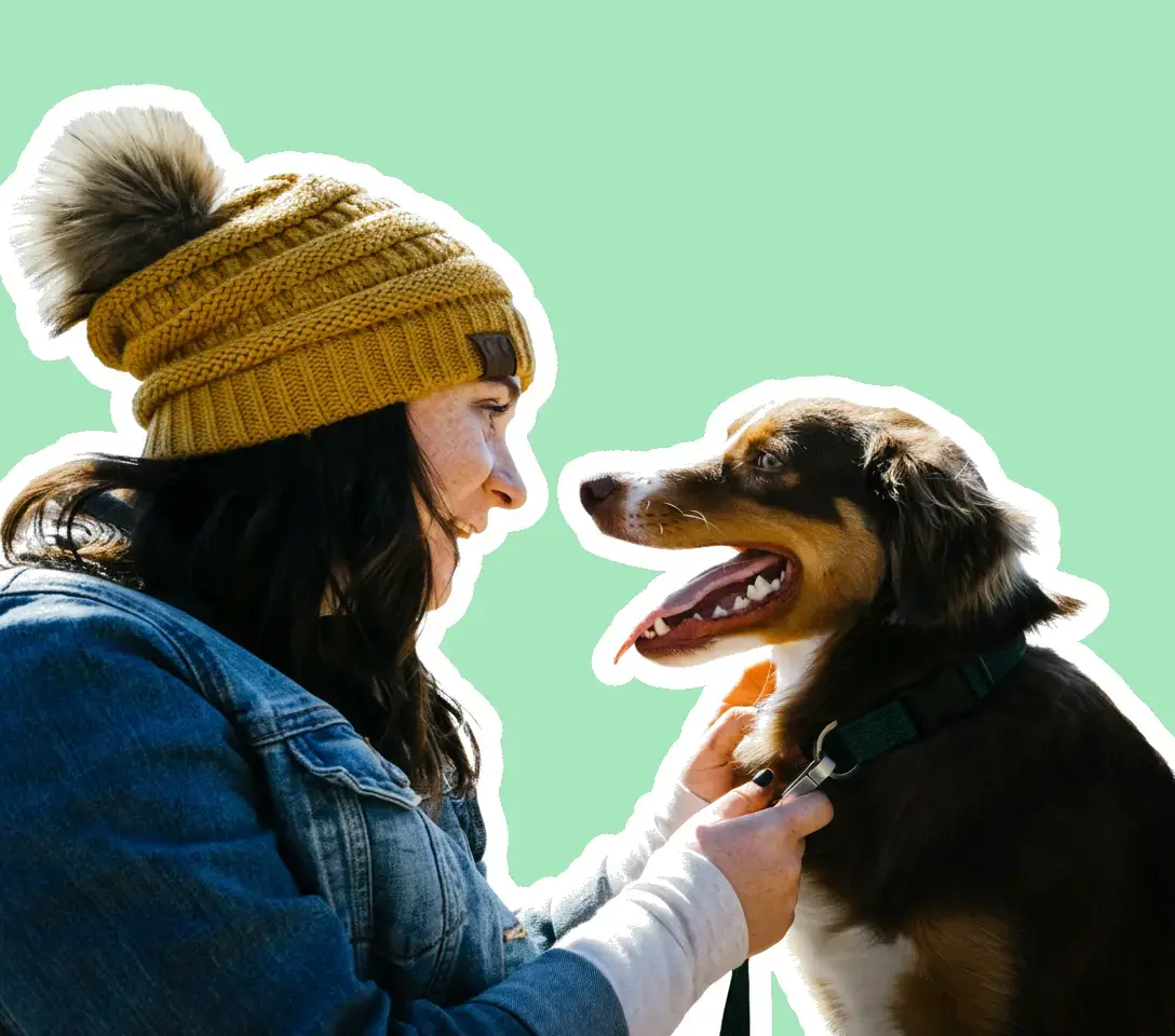 Patternful AI β Post Your Pictures with a Unique Outline on Various Social Media Platform β After