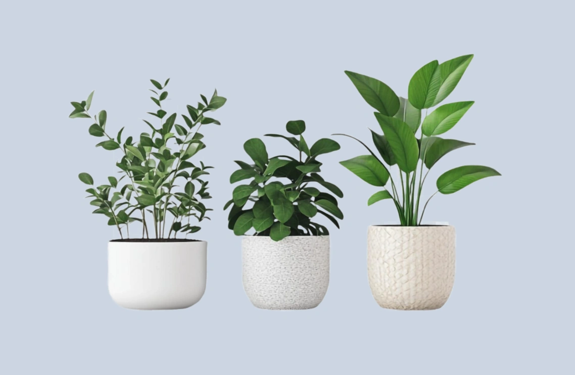 Patternful AI — All the Magic is in the Gray