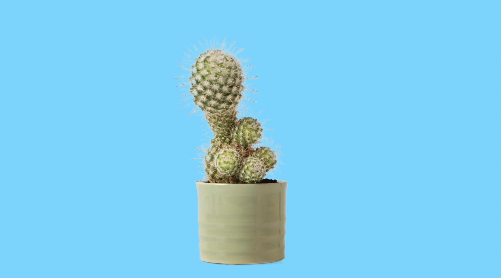 Patternful AI — Calm and Serene
