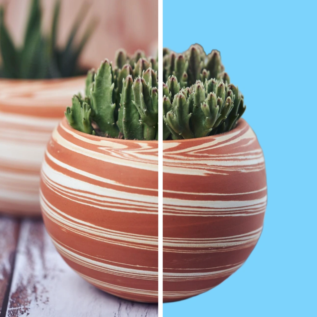 Patternful AI — Light Blue Background - AI Photo Background Editor