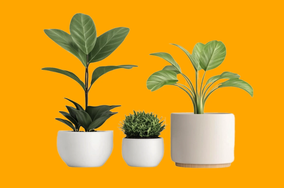 Patternful AI — Make a Bold Statement with Your Images