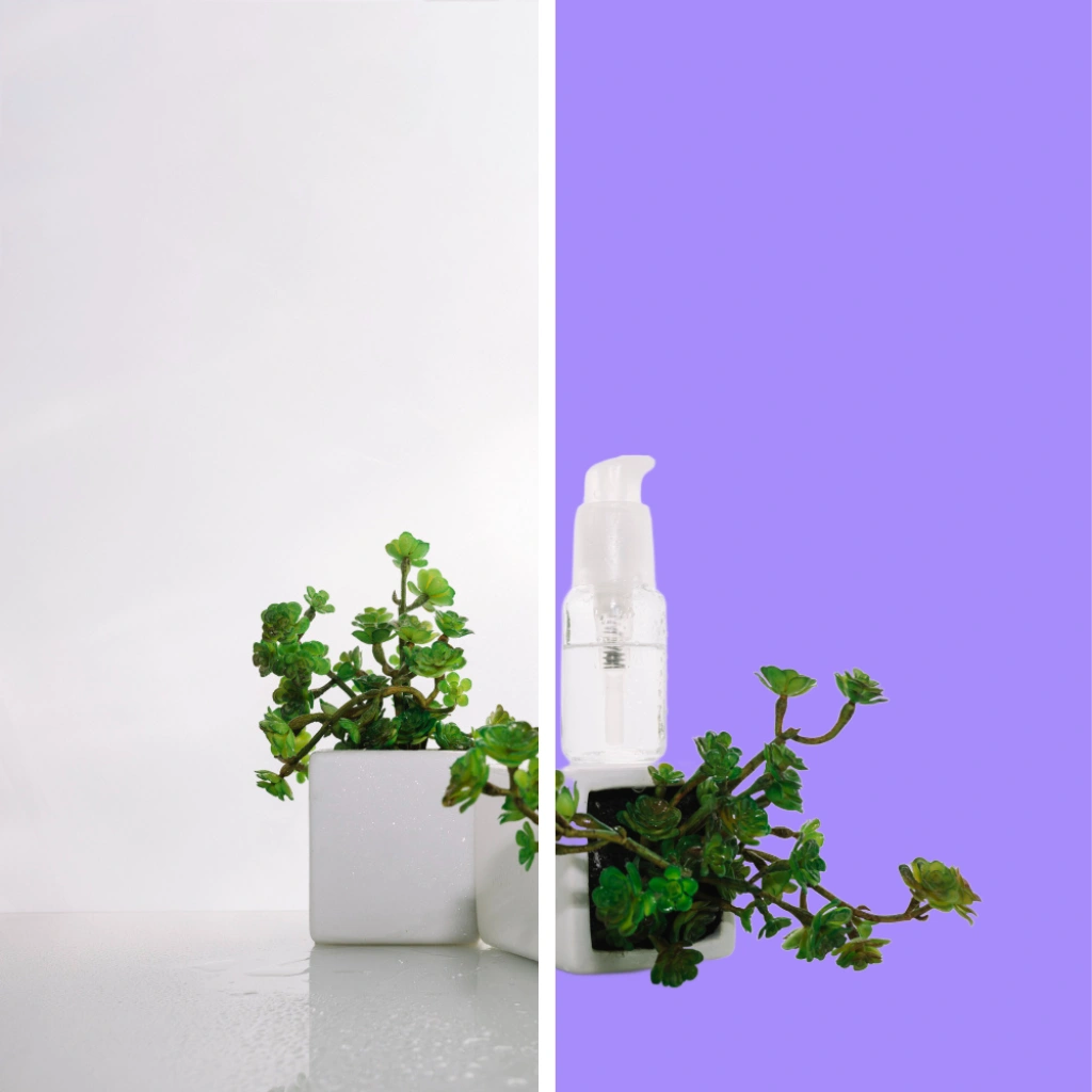Patternful AI — Purple Background - Change Backgrounds to Purple
