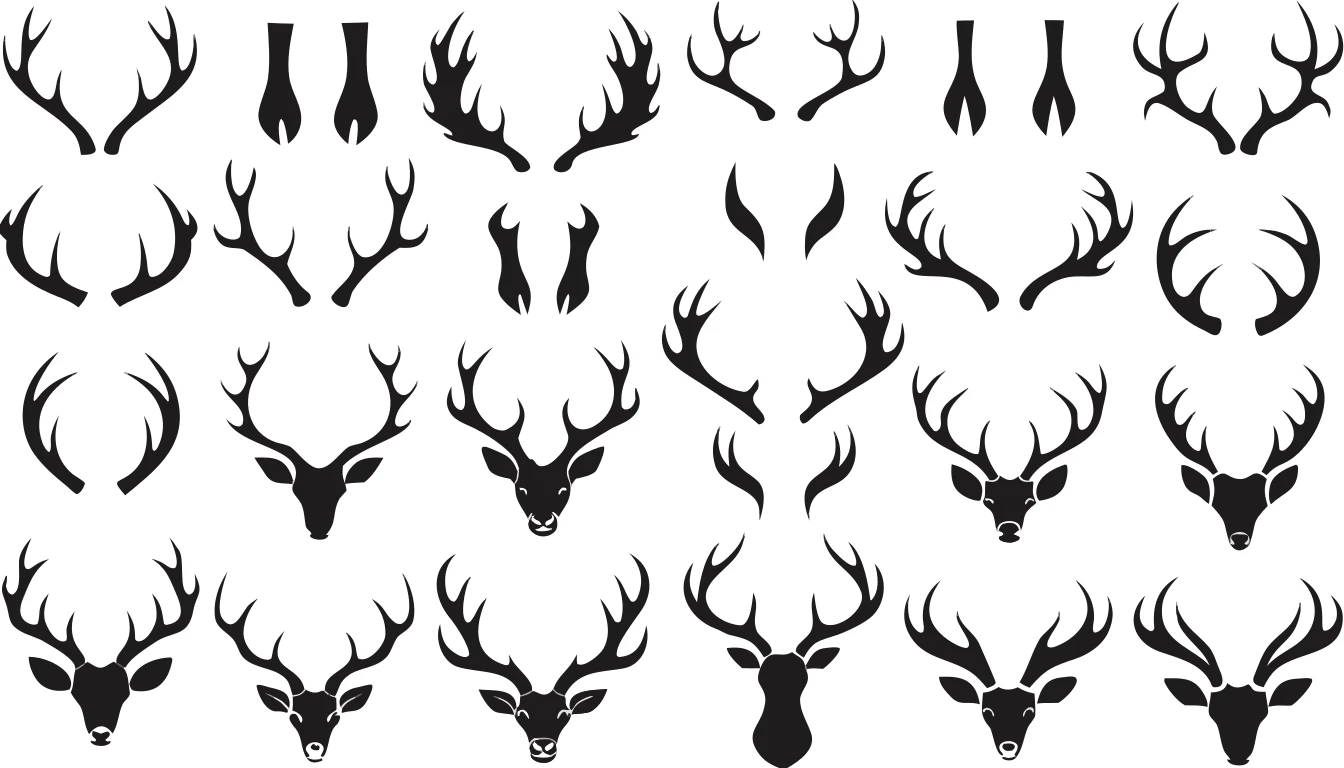 Patternful AI — Fully Editable, Professional Vector Files