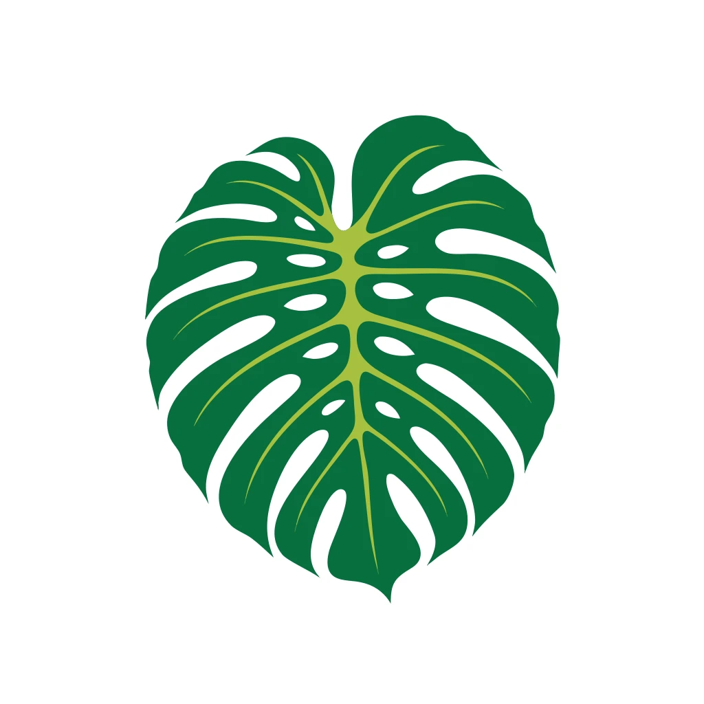 Monstera Leaf Vector Art