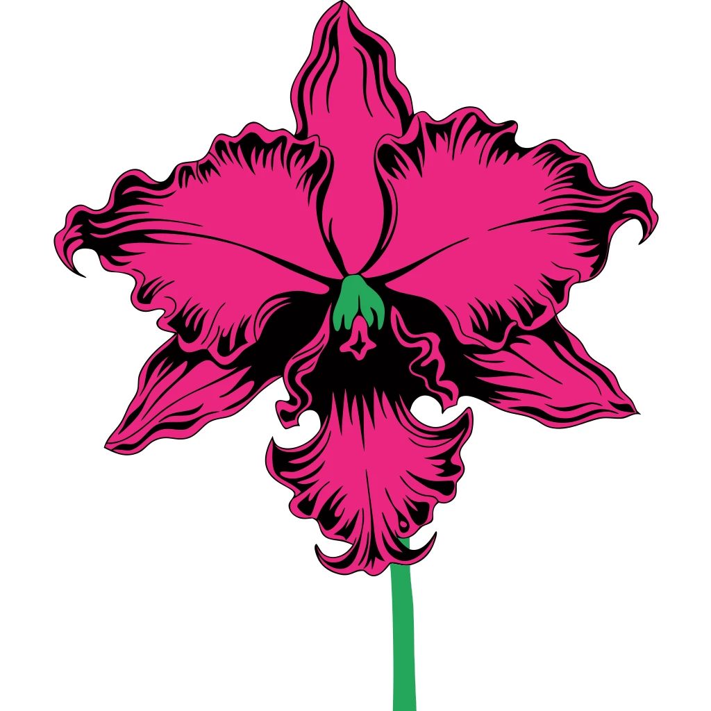 Orchid Flower Vector Art