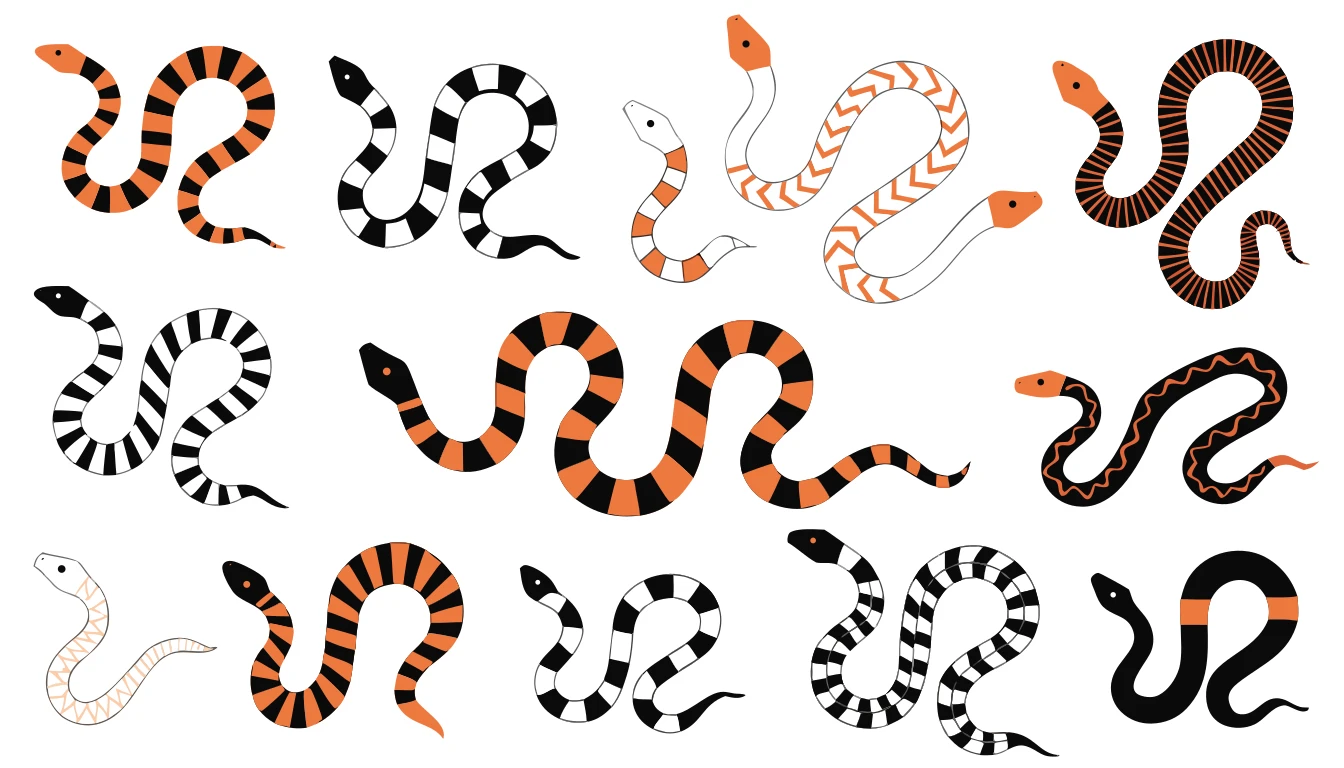 Patternful AI — Fully Editable Vector Files for Easy Customization