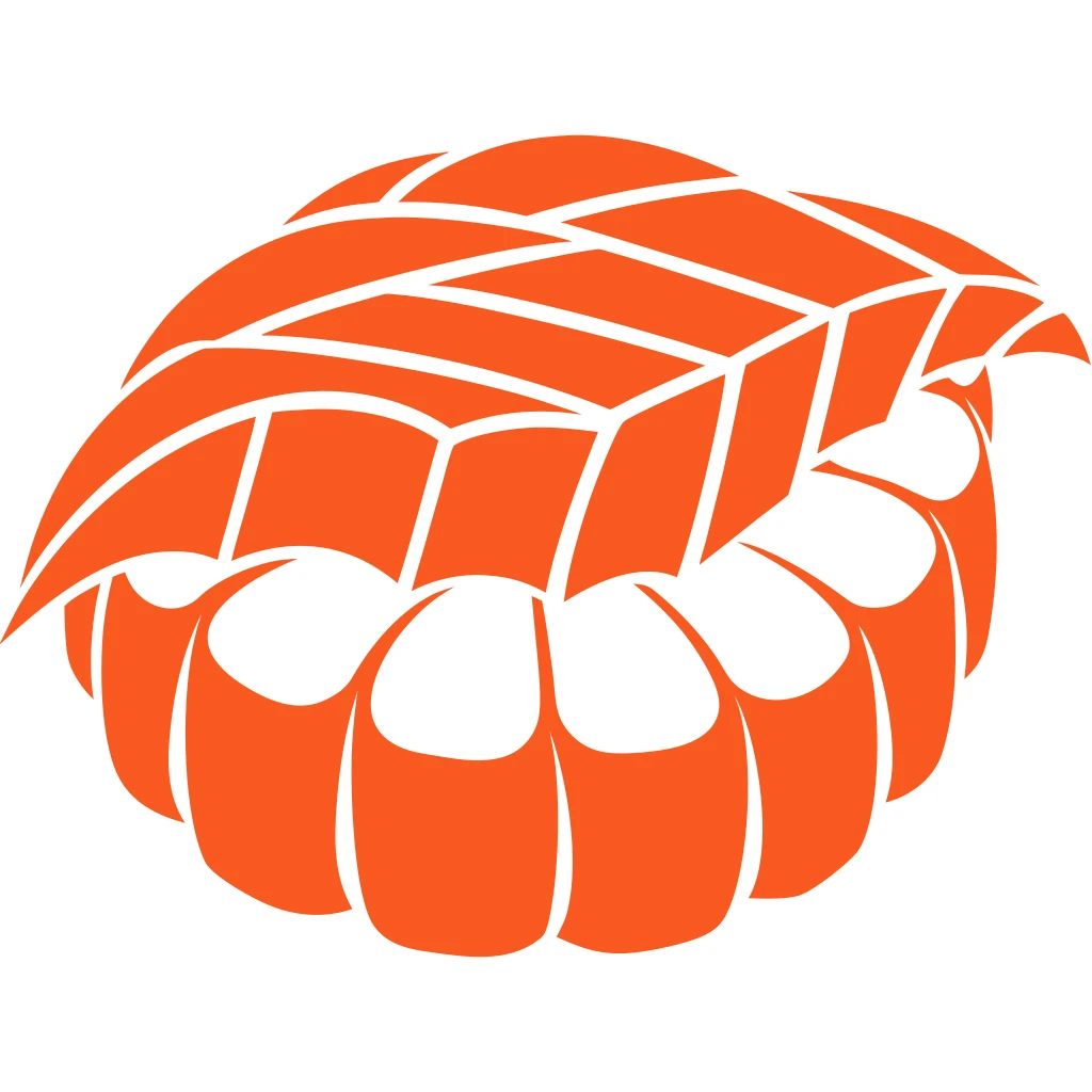 Sushi Vector Art
